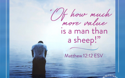 Seeing Your Worth in the story of the “Demons and Pigs”