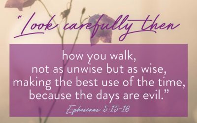 How Can You “Make the Best Use of the Time”?