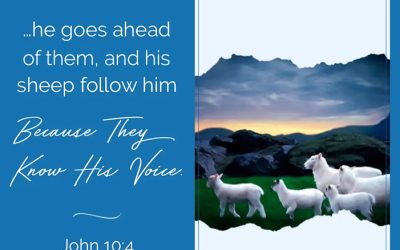 What’s with all the goats in the Bible?