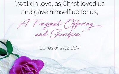 How God’s Love Never Fails